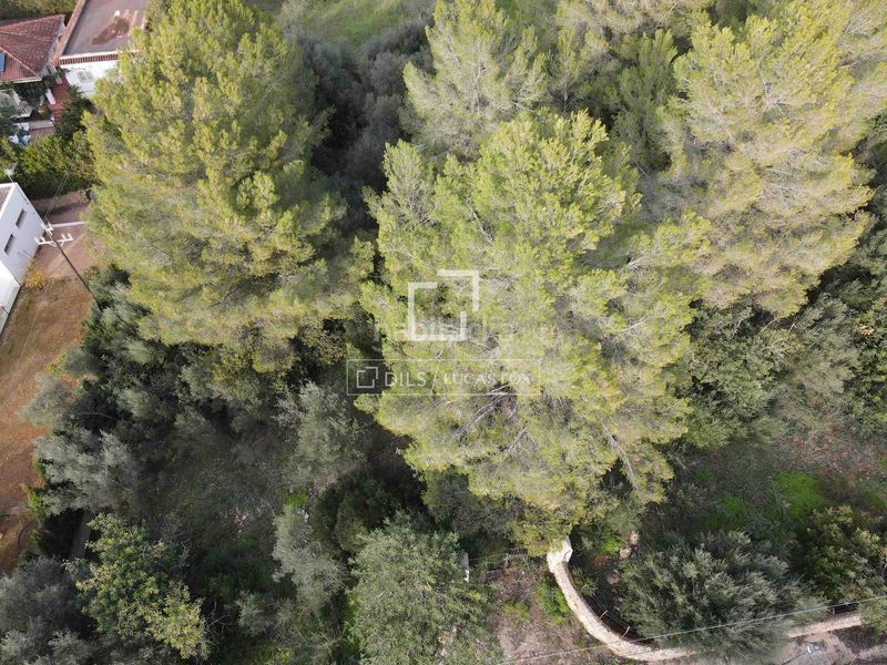 Foto 7e91ea1d-f825-4f88-9ff6-b18260642329. Finca rústica a Bunyola