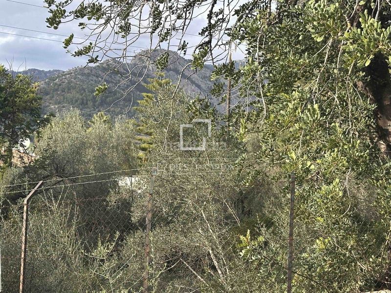 Foto 910c87f9-daff-432f-8cff-e27a48a80a4d. Finca rústica a Bunyola