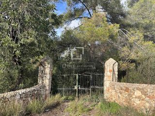 Fondo rustico in Bunyola. Parcela en venta en bunyola, islas baleares