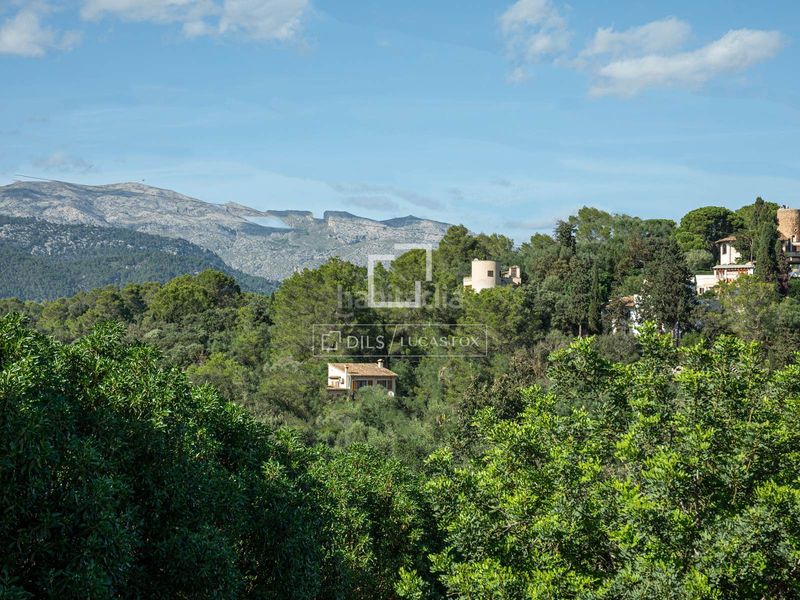 Foto 4d02a73b-9662-4ecd-b7d0-d0a0849eff01. Chalet in Búger