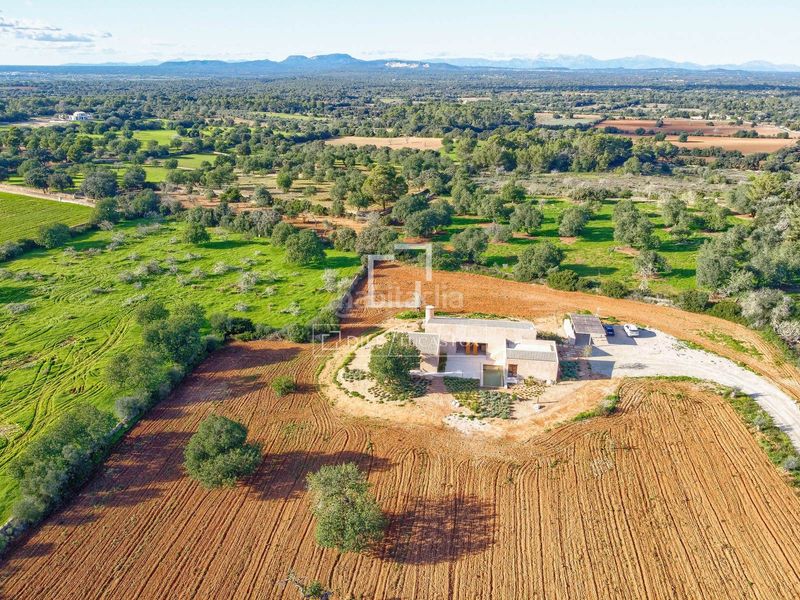 Foto bd7f5024-2467-465c-8698-44bb851740f6. Masia amb calefacció aparcament piscina a S´Horta - Cas Concos des Cavaller - Es Carritxó Felanitx
