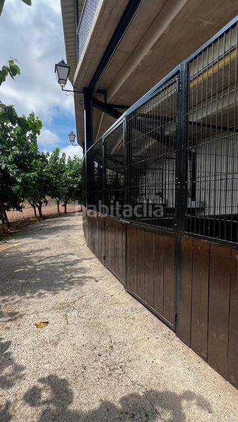 Foto 2572209c-6e24-4828-bd99-060da8e922de. Finca rústica a Vall d´Uixó (la)