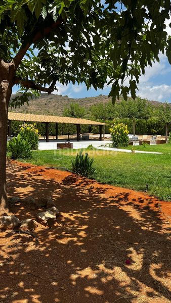 Foto a8dbe29d-d605-43ee-b61d-66fe5945e252. Finca rústica a Vall d´Uixó (la)