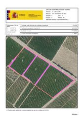 Fondo rustico in San Rafael del Río. Venta del 25% + 25% indiviso de finca rústica de cítricos en san