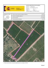 Fondo rustico in San Rafael del Río. Venta del 25% + 25% indiviso de finca rústica de cítricos en san