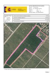 Finca rústica a San Rafael del Río