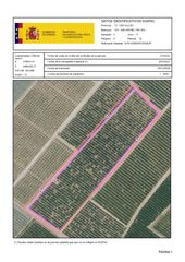 Rural plot in San Rafael del Río. Venta del 50% + 50% indiviso de finca de naranjos en san rafael