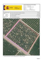 Rural plot in San Rafael del Río. Venta del 50% + 50% indiviso de finca de naranjos en san rafael