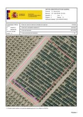 Finca rústica a San Rafael del Río. Venta del 100% del pleno dominio de finca rústica agrícola en sa