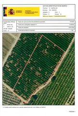 Finca rústica a Partidas de Interior - Zona Rústica. Venta del 50% indiviso de finca rústica de cítricos en vinaròs (