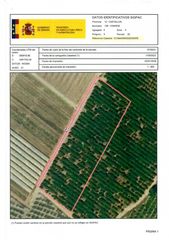 Finca rústica a Partidas de Interior - Zona Rústica. Venta del 50% indiviso de finca rústica de cítricos en vinaròs (