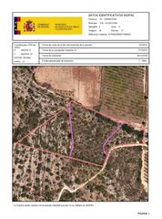 Finca r�stica  Carretera ulldecona. Venta del 100% del pleno dominio de finca r�stica en ulldecona (