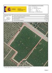 Finca r�stica  Carrer del doctor pons. Venta del 25% + 25% indiviso de finca de naranjos en san rafael