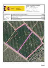 Finca r�stica a Cv-100 54. Venta del 25% + 25% indiviso de finca de naranjos en san rafael