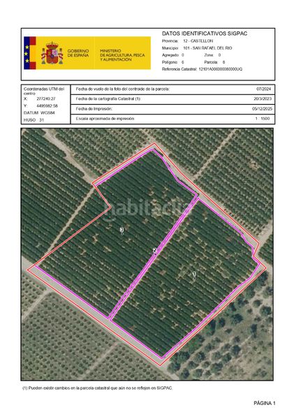 Foto 7bd78188-e5c7-4a72-bead-93e56bbe6c61. Finca rústica a cv-100 54 a San Rafael del Río