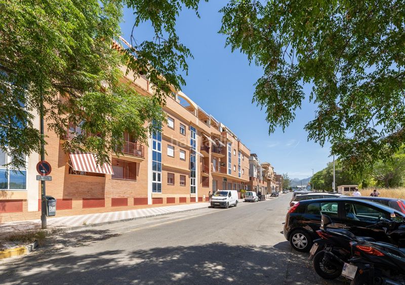 Foto 51306004-8883-44aa-abba-f475f51ec397. Pis a avenida madrid 4 a Albolote