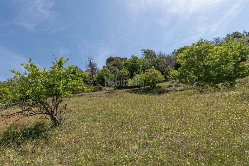 Foto a2cf56d6-dd67-448e-af46-73fc4bd87a0d. Finca rústica a polígono polígono 2 parcela 34 alberquillas. soportujar (g 2 a Soportújar