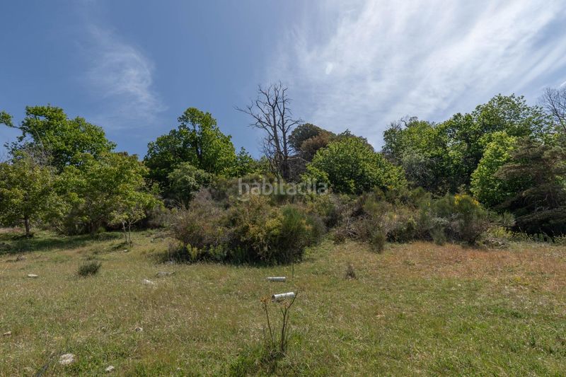 Foto ce67564f-82ce-4035-9df0-784e932828c8. Finca rústica a polígono polígono 2 parcela 34 alberquillas. soportujar (g 2 a Soportújar