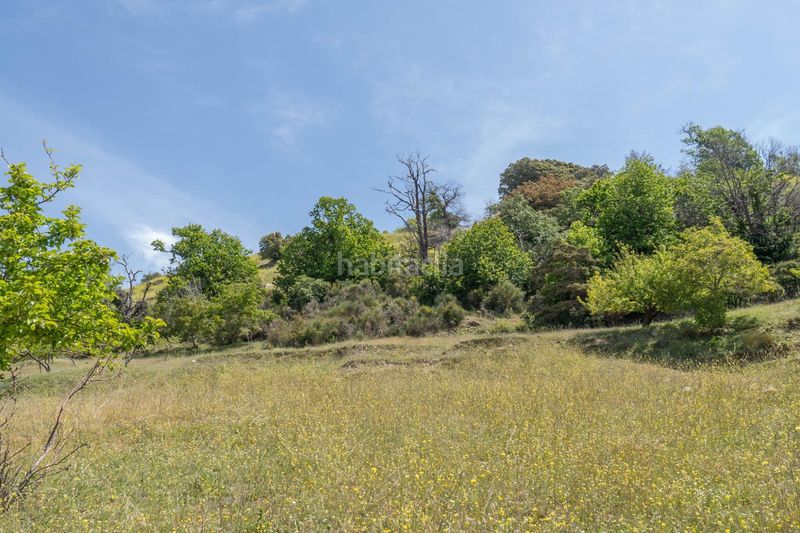 Foto d0c8cc97-a80a-4bce-a929-571ebfe85385. Finca rústica a polígono polígono 2 parcela 34 alberquillas. soportujar (g 2 a Soportújar