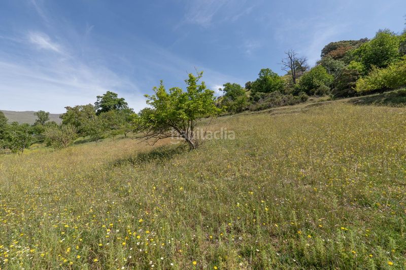 Foto d1b29079-dc55-4384-9e4b-2e8c8b41c9e8. Finca rústica a polígono polígono 2 parcela 34 alberquillas. soportujar (g 2 a Soportújar
