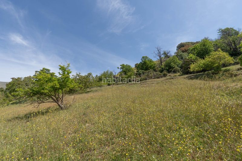 Foto d8136210-0e5d-4b89-84bb-bc265657d8e1. Finca rústica a polígono polígono 2 parcela 34 alberquillas. soportujar (g 2 a Soportújar