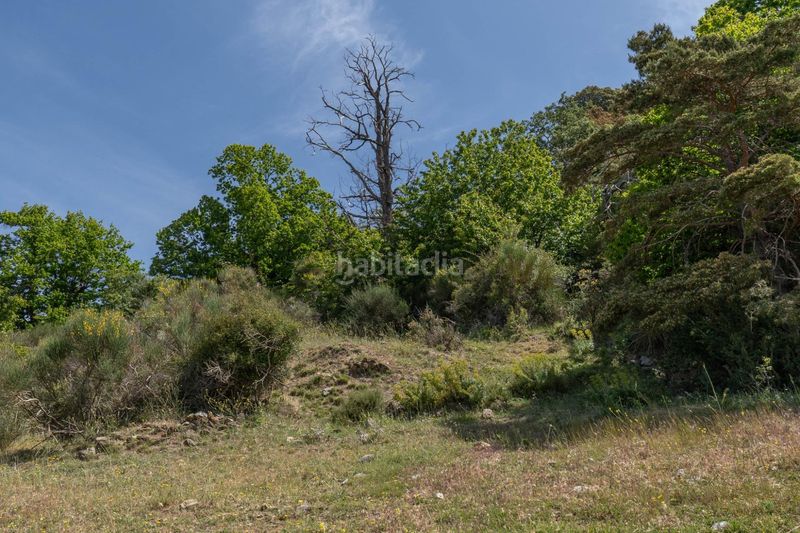 Foto e6f1927d-6dd8-4812-b6a1-dd5d88a6f2eb. Finca rústica a polígono polígono 2 parcela 34 alberquillas. soportujar (g 2 a Soportújar