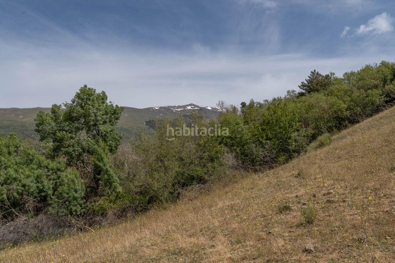 Foto 90bd586a-83ce-4338-b033-4bb6d6402510. Finca rústica a polígono polígono 2 parcela 40 alberquillas. soportujar (g 2 a Soportújar