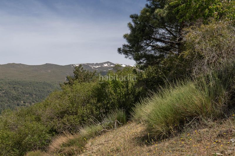 Foto ab196c11-b2ae-4d19-b6c5-1d0906d88bb3. Finca rústica a polígono polígono 2 parcela 40 alberquillas. soportujar (g 2 a Soportújar