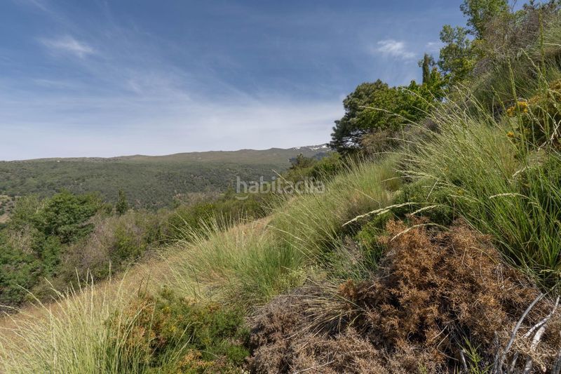 Foto d7618532-30bf-40b4-aa87-0c54c69a486c. Finca rústica a polígono polígono 2 parcela 40 alberquillas. soportujar (g 2 a Soportújar