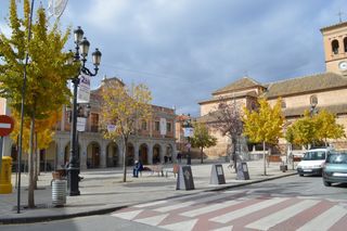 Rent Business premise in Animas 4. Alquiler de local en albolote