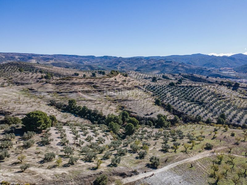 Foto f2d67398-8591-4400-aa68-be86bbb08552. Finca rústica a Jayena 1 a Jayena