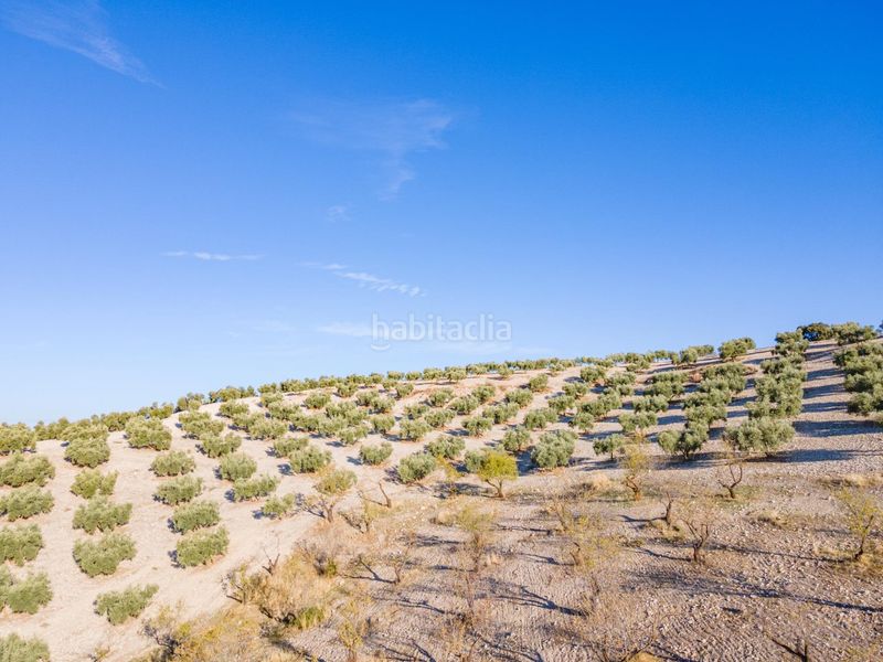 Foto f8a9cebe-4e50-43be-ad6f-6ccbf8e96825. Finca rústica a Jayena