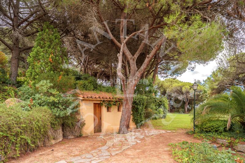 Foto b87014bb-9e57-46bf-9301-308ac632429e. Casa con camino riscaldamento parcheggio piscina in Sant Andreu de Llavaneres