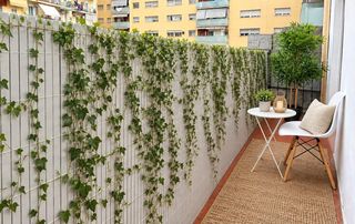 Pis a Provençals del Poblenou