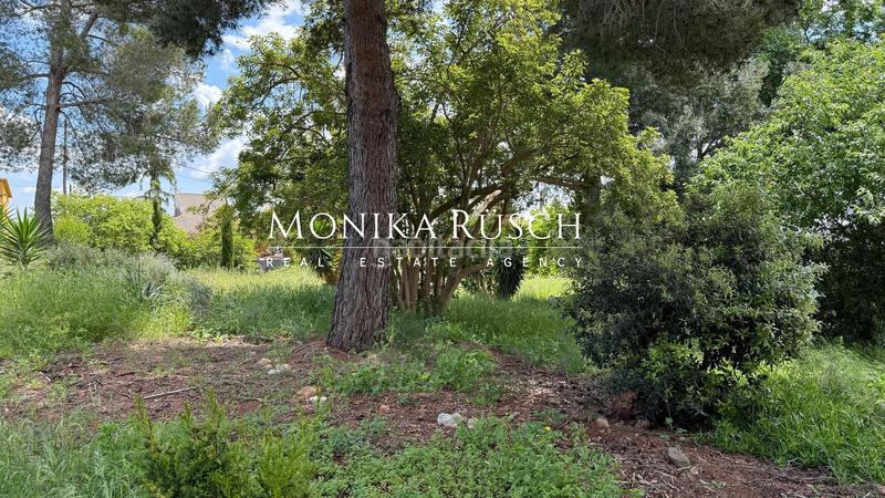 Foto 2293cd1b-e904-4639-aa58-65f1137d1b8c. Terreno residencial gran parcela en fontpineda con casa existente y posibilidad de construir 2 viviendas en Corbera de Llobregat