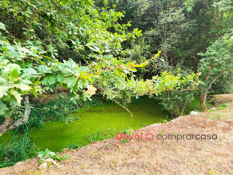 Foto c924ad50-bf49-4e56-aec7-3d4d1e10b80f. Casa amb aparcament a Salceda de Caselas