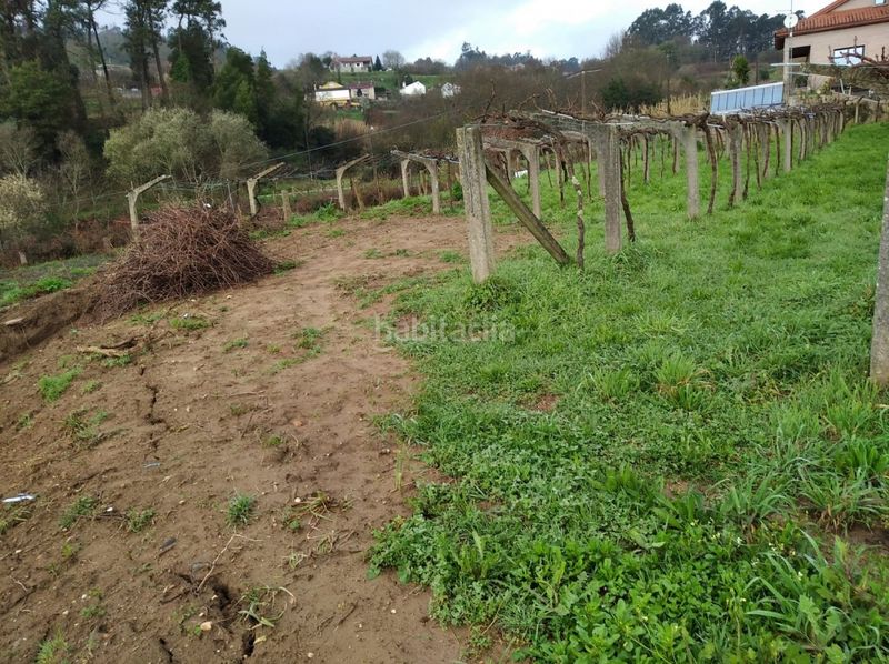 Foto 60f7ecb8-3bb5-429d-a25e-c14c8999c68a. Terreny residencial a Mos