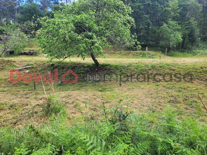 Foto 55e8223e-af5b-499f-99df-21fc6e891385. Terreny residencial a Mos