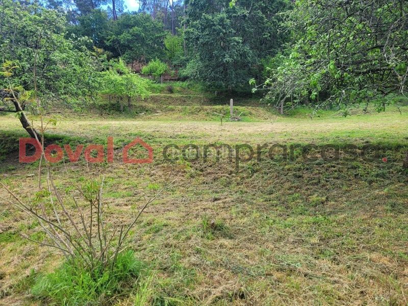 Foto ce8d1a77-07c8-4bec-91d9-65030f2a1180. Terreny residencial a Mos