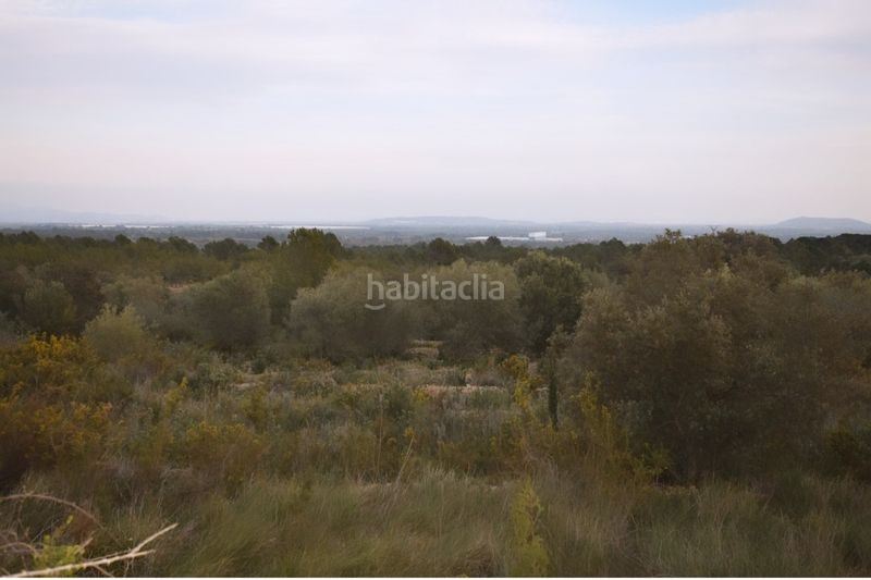 Foto 0ad00860-d77e-4edb-88bb-d90d96e485a3. Finca rústica a San Jorge