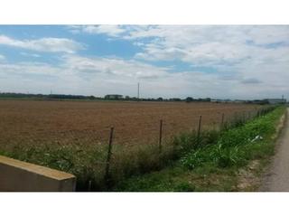 Finca rústica  Pla de roses. Terreno en venta en empuriabrava