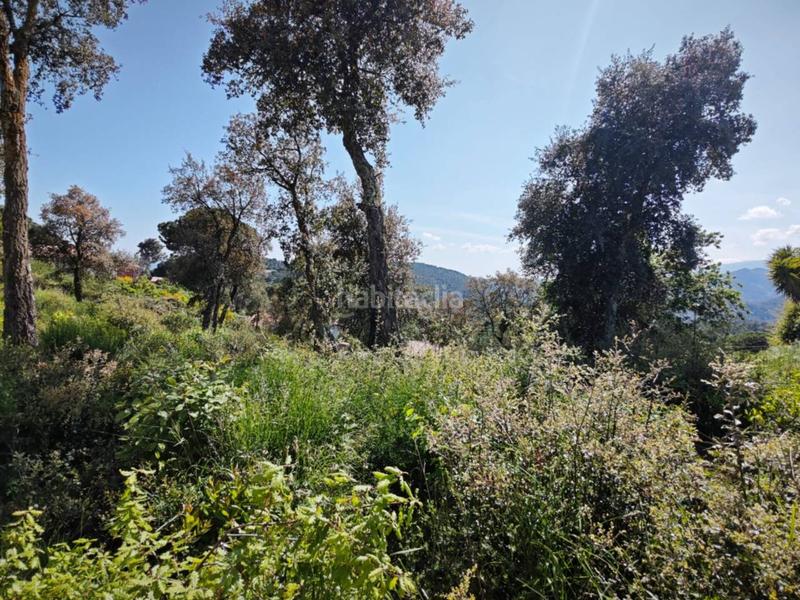 Foto 2fd586a7-55be-4086-a662-a138fbdc879d. Rural plot in Riudarenes