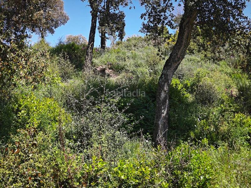 Foto 41e4259c-a1c8-4997-a2a1-583779f34b7c. Rural plot in Riudarenes