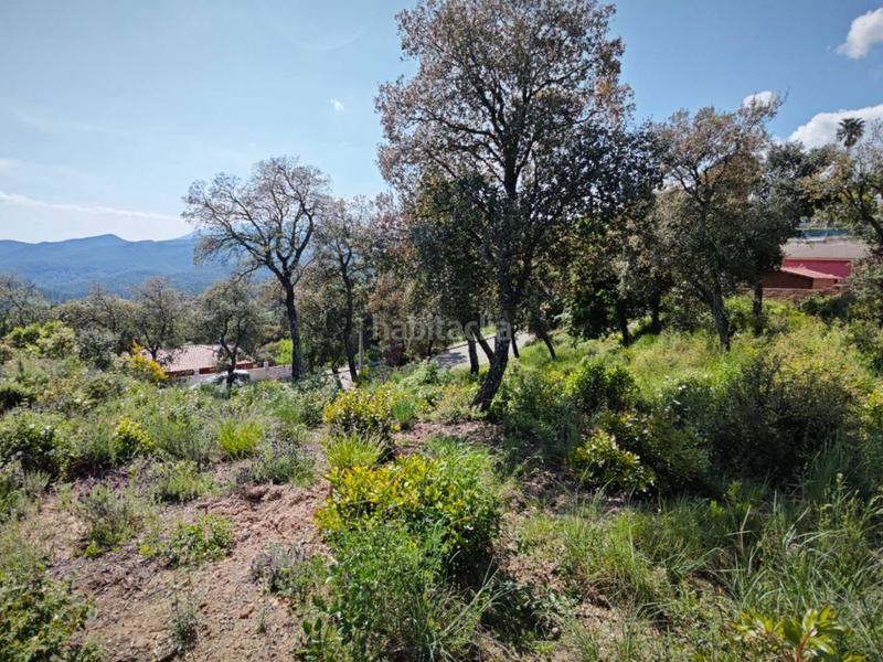 Foto 888bfef5-6a9f-4641-82a4-6625321ae15a. Rural plot in Riudarenes