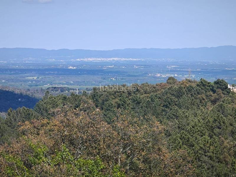 Foto bb19d035-7857-4ede-8a1d-127a04e50f65. Rural plot in Riudarenes