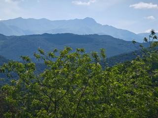 Finca rústica  Hortènsies. Terreno en venta en riudarenes