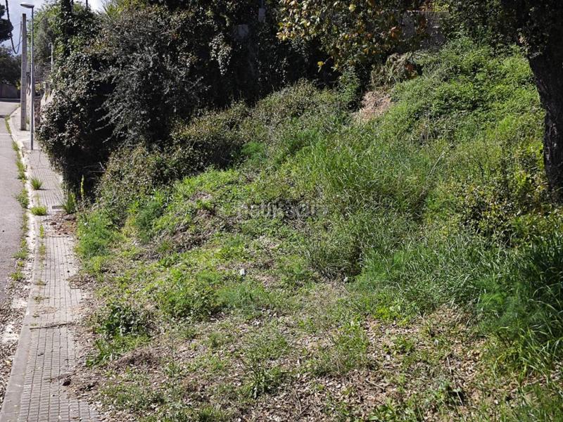 Foto eb3aee0f-dac4-4e39-b144-ee8e32c1ff2e. Rural plot in Riudarenes