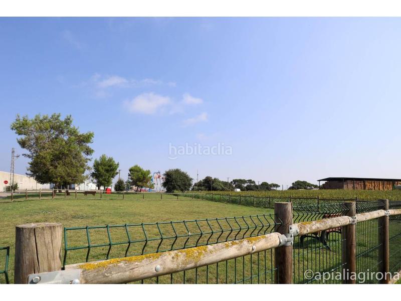 Foto 66e6f72b-a780-461d-8b05-6e537ca4d86d. Terrain résidentiel dans Riudellots de la Selva