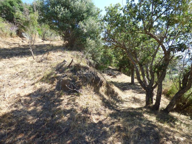 Foto 56f98aa7-10ef-49bf-8abe-2d6f65b1ae6c. Terreny residencial a siena 6 a Cabanyes-Mas Ambrós-Mas Pallí Calonge