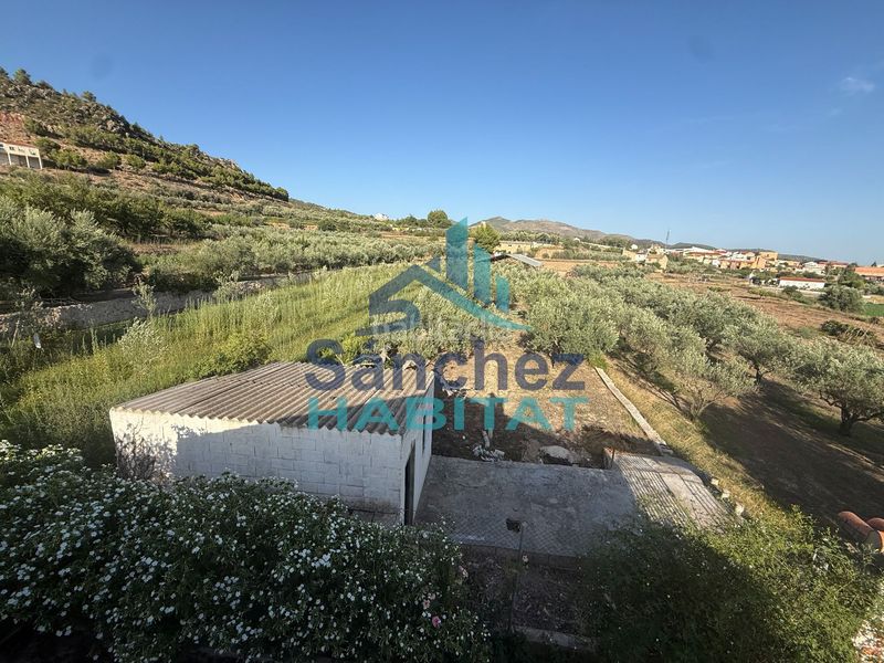 Foto ece1b3b9-8e47-403b-9690-06687ca998a3. Casa in 7 in Chelva